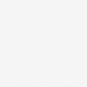 Meet your Posher, Evelyn